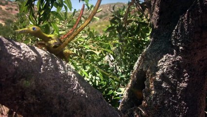 These Dinosaurs Are Hungry!