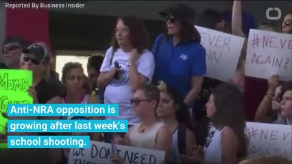 Anti-NRA Movement Calls For Boycott Of 19 Companies