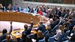 UN Security Council votes in favour of 30-day Syria ceasefire