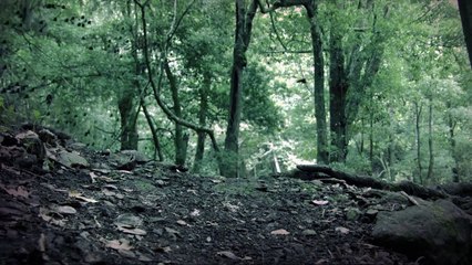 Most Gruesome Dinosaur Deaths