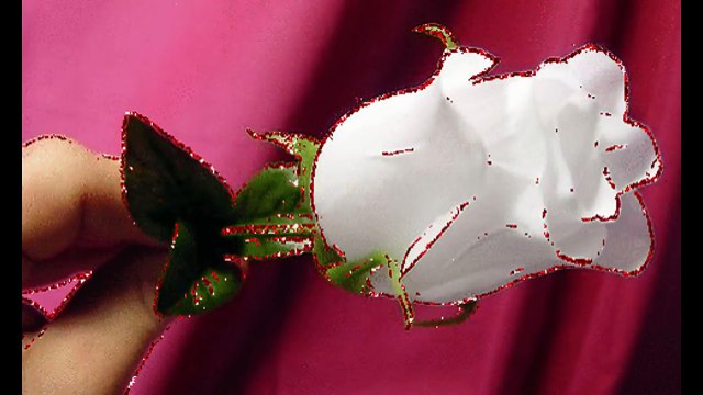 Good Morning Wishes.. whatsaap video..quotes... ..