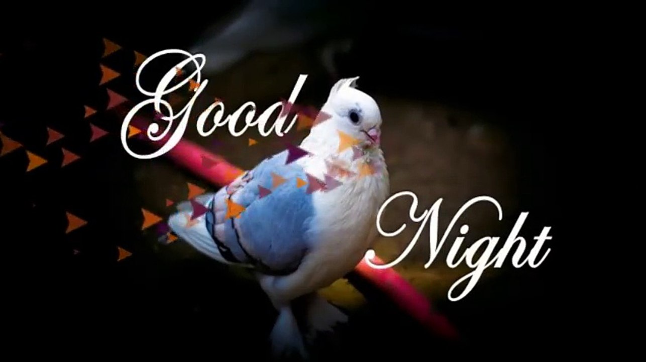 Good Night..Sweet Dreams...Wishes..Greetings..Whatsaap Video..Status...Message..Beautiful Quotes..