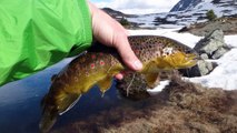 Peche a la truites dans les alpes du nord ma saison 2012