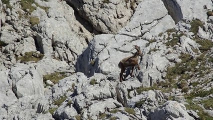 Randonnee au moucherolle dans le vercors