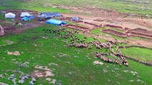 Fakıbaba '300 koyun' projesine açıklık getirdi - ŞANLIURFA