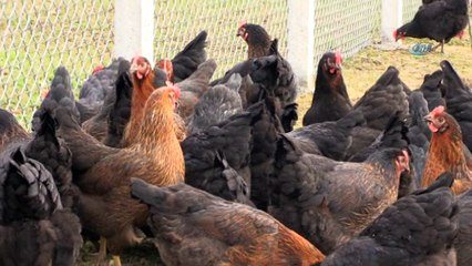 Fabrika işçisi yüzde 50 hibeyle kendi işinin patronu oldu