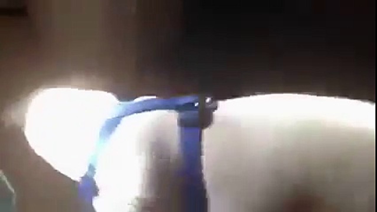 Tiny_dog_defends_his_food_bowl_from_hungry_pit_bull!