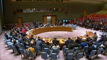 U.N. Security Council demands truce as air strikes continue