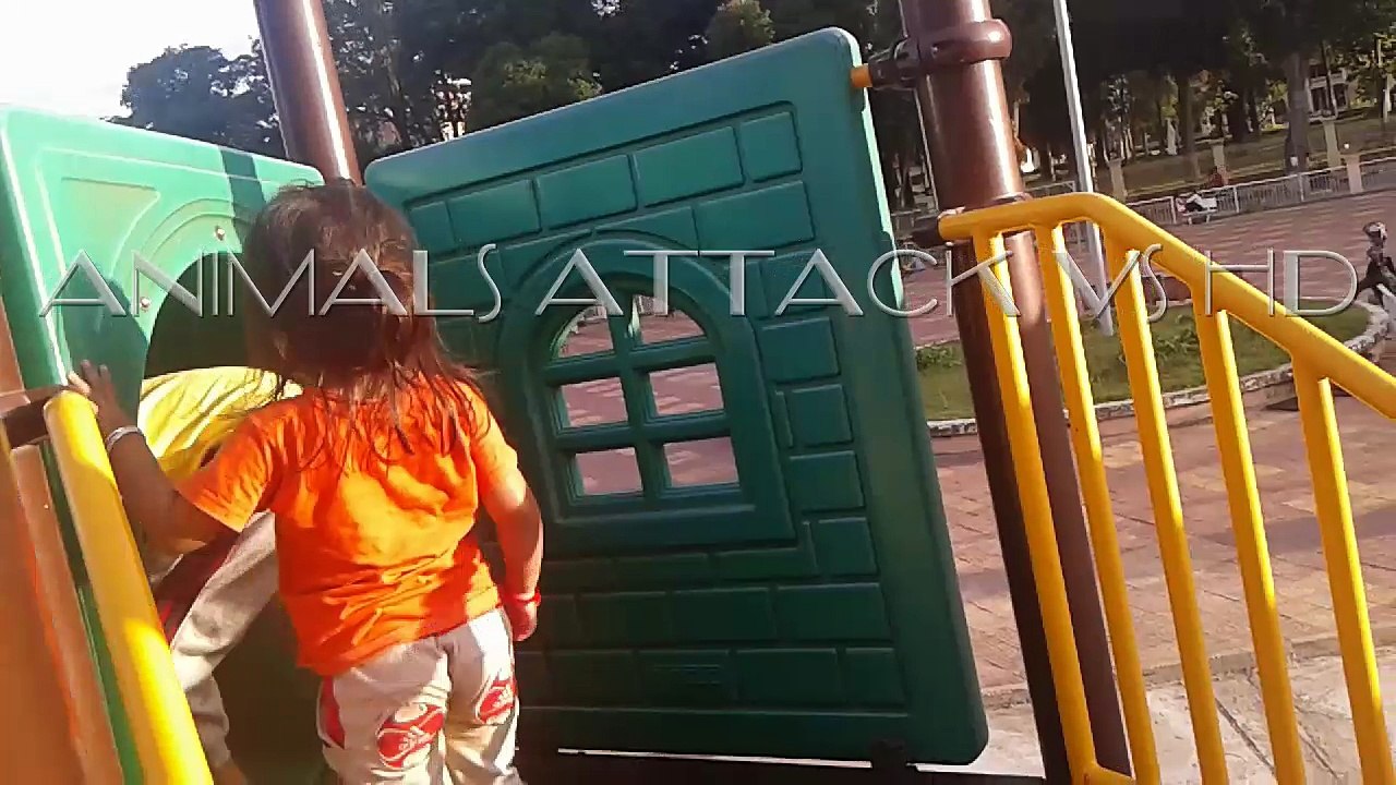 Children playing in the playground