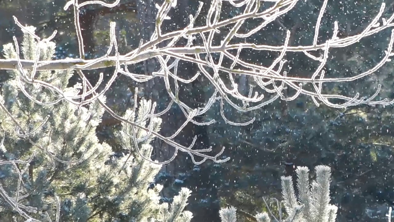 Февральскаие зарисовки