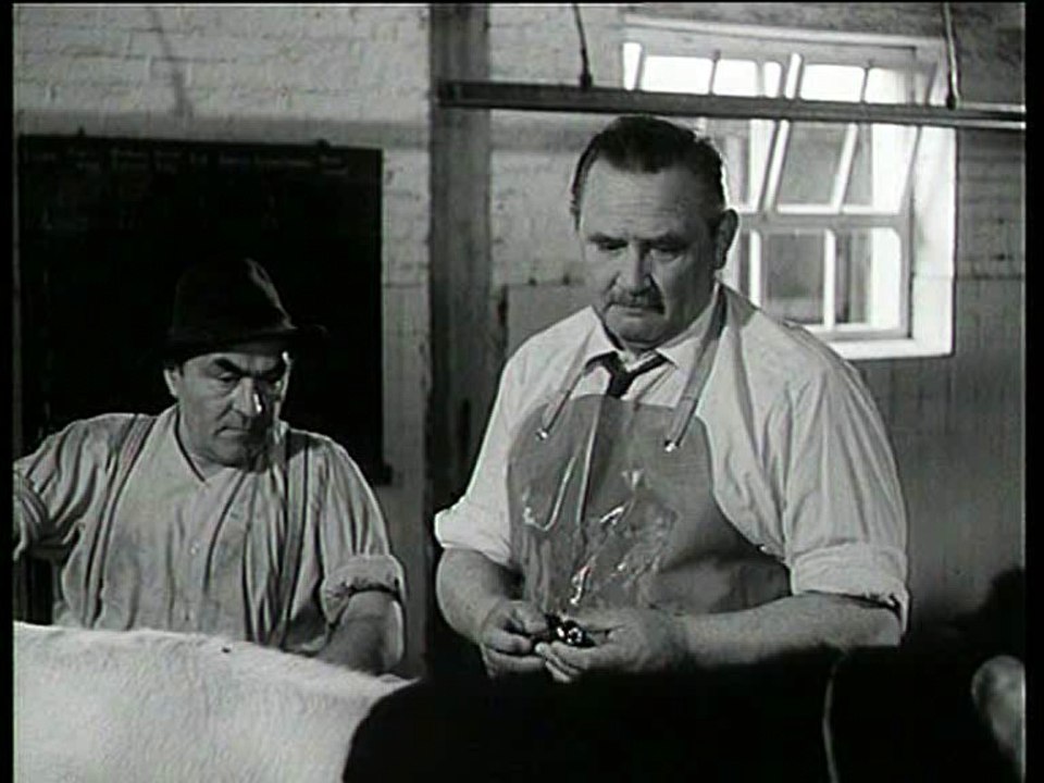 Alle meine Tiere - Das Picknick