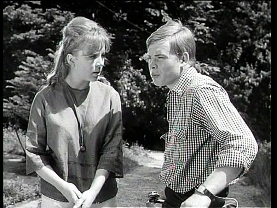 Alle meine Tiere - Der Graue