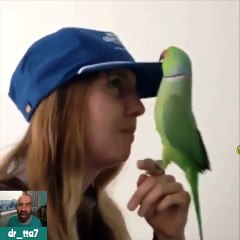 اجمل ببغاء في العالم
