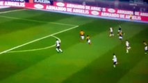Niang Goal - Hellas Verona vs Torino 1-1  25.02.2018 (HD)