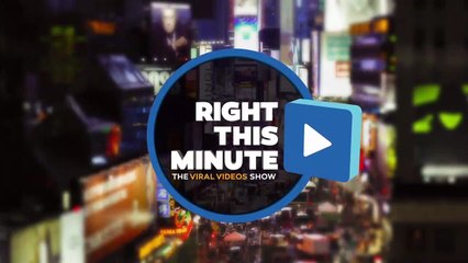 Baby Has The Best Reaction To Christmas Decorations