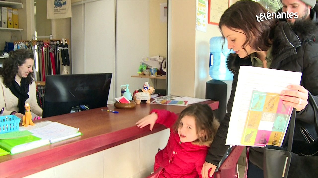 La SPA de Loire-Atlantique est saturée