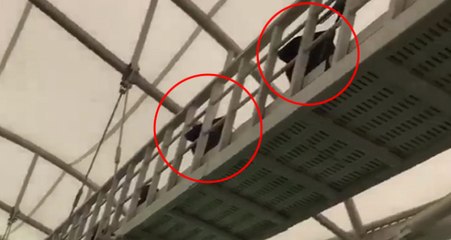 Beşiktaş Yönetimi, Fenerbahçeli Taraftarlarının Üstüne Hoparlör Koydu