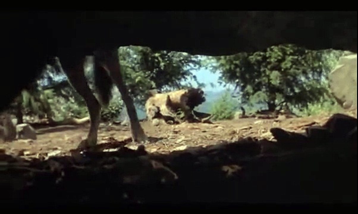 دفعت  قناة  ناشيونال  جرافيك  لمصور  هذا  الفيلم  مليون دولار