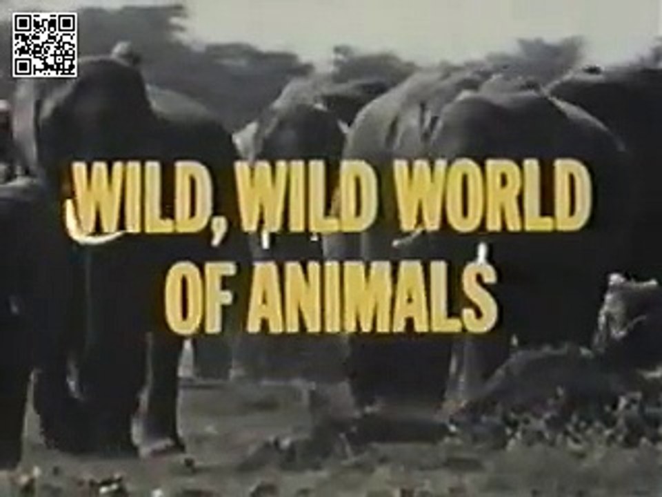 Wild, Wild World of Animals intro