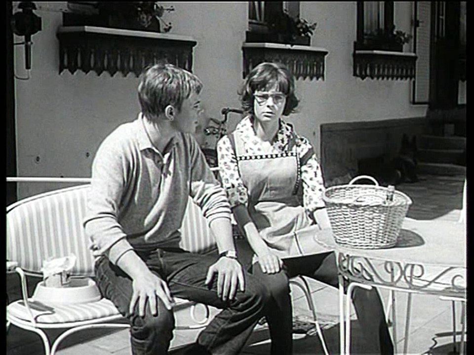 Alle meine Tiere - Der Besuch