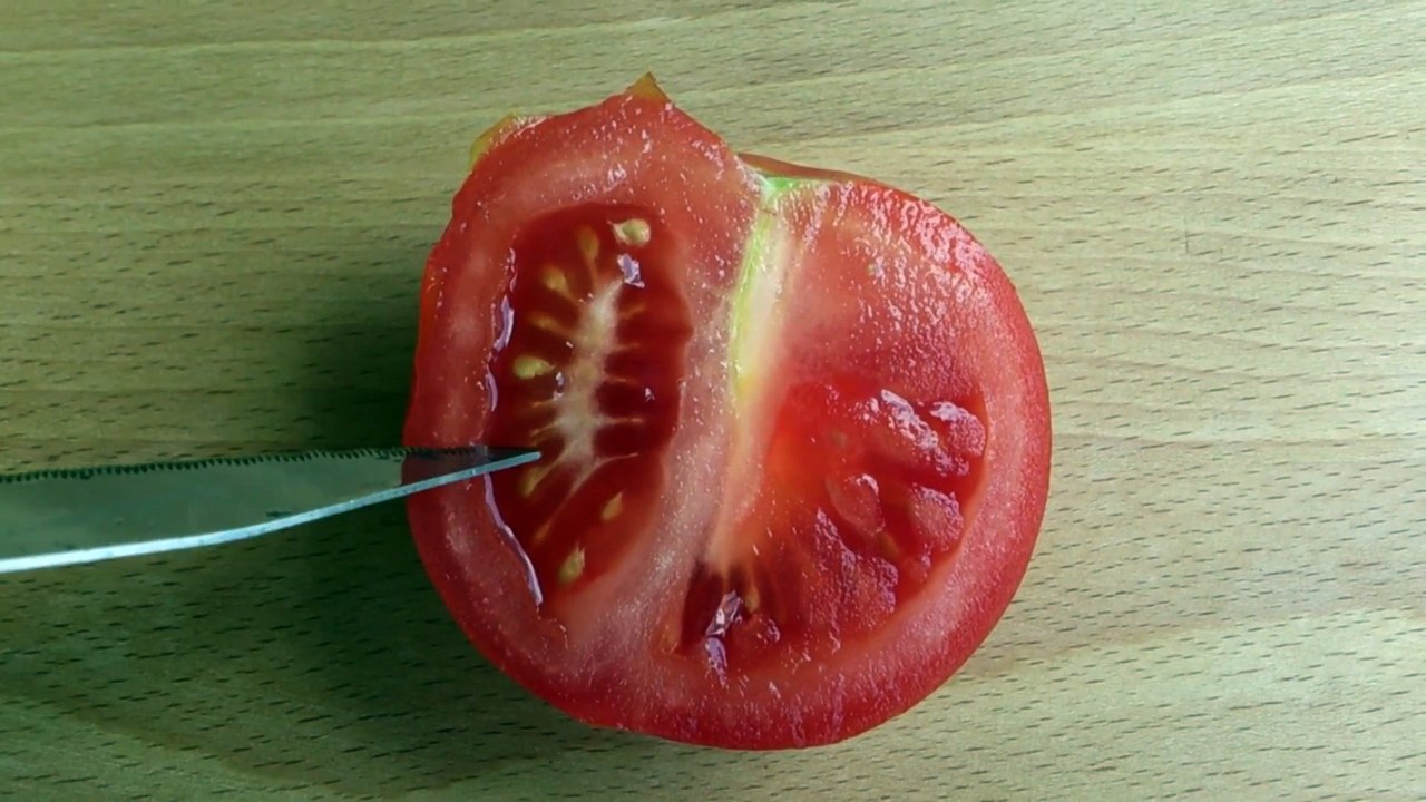 Tomatensamen ernten