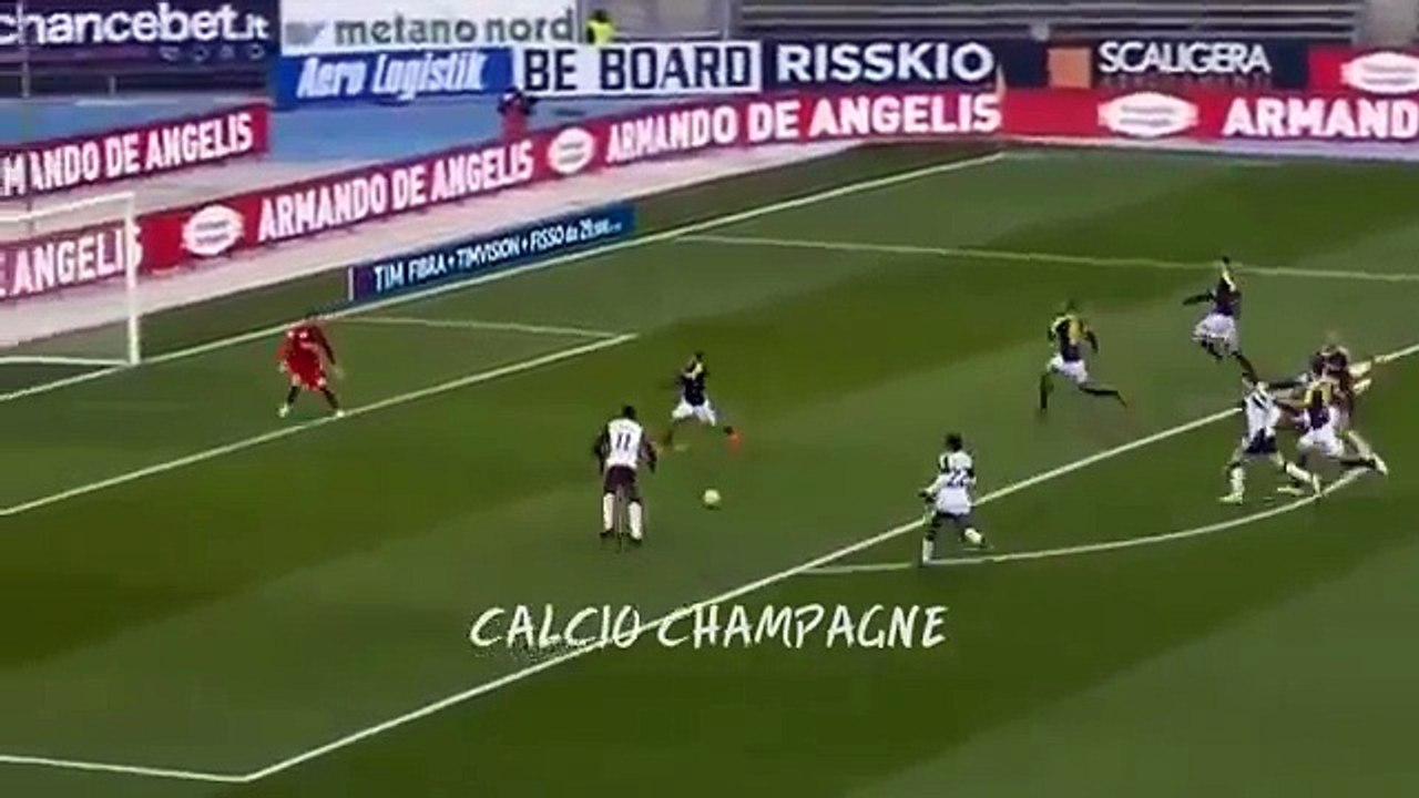 Hellas Verona-Torino 2-1 All Goals Highlights 25-2-2018