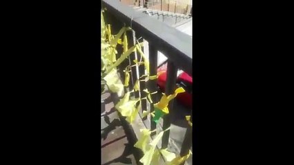 Un ayuntamiento de ERC identifica a vecinos que descuelgan lazos amarillos para multarlos