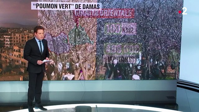 Syrie : la Ghouta, un des principaux bastions rebelles