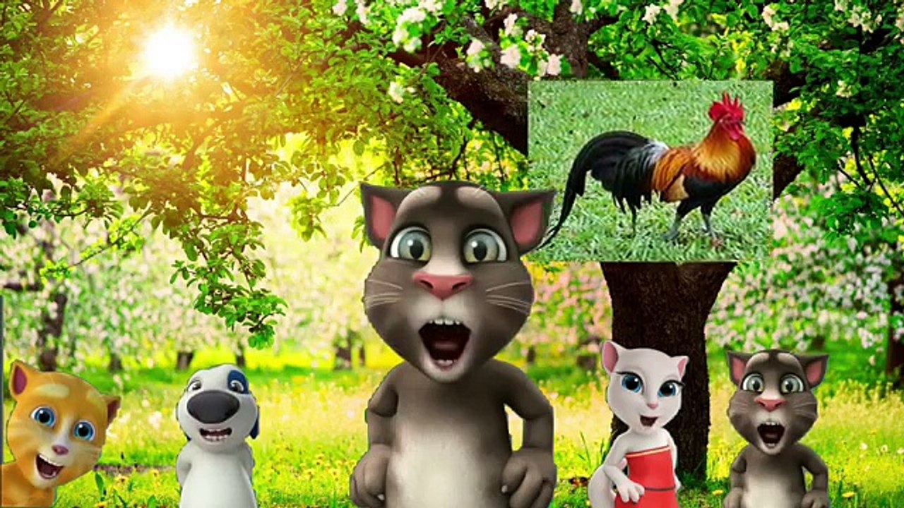 Horozumu Kaçırdılar Tom Çocuk Şarkıları Okul Şarkıları video