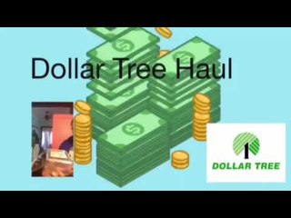 DOLLAR TREE HAUL