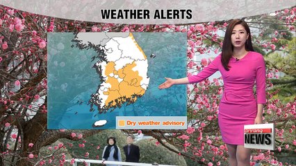 Mild readings under plenty of sunshine _ 022618