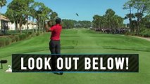 Tiger Woods Almost Takes Out a Goose