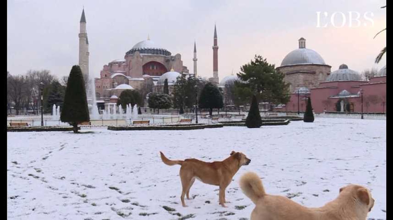 Neige à Istanbul : Sainte Sophie, la mosquée bleue et le Bosphore tout de blanc vêtus