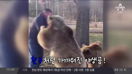 갈색곰과 친구 된 사나이