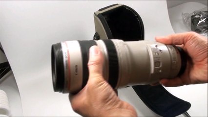 Pros and cons of the Canon 100 - 400L IS lens