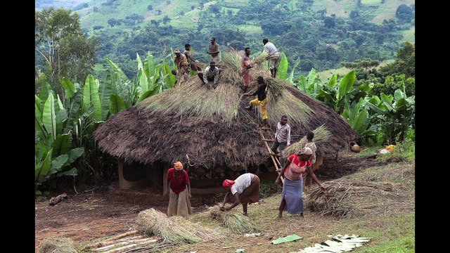 Autour de Hans Silvester