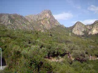 Pic des singes à Béjaia