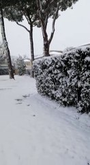 X Municipio, scene e video da una nevicata. Le vostre foto e video 4