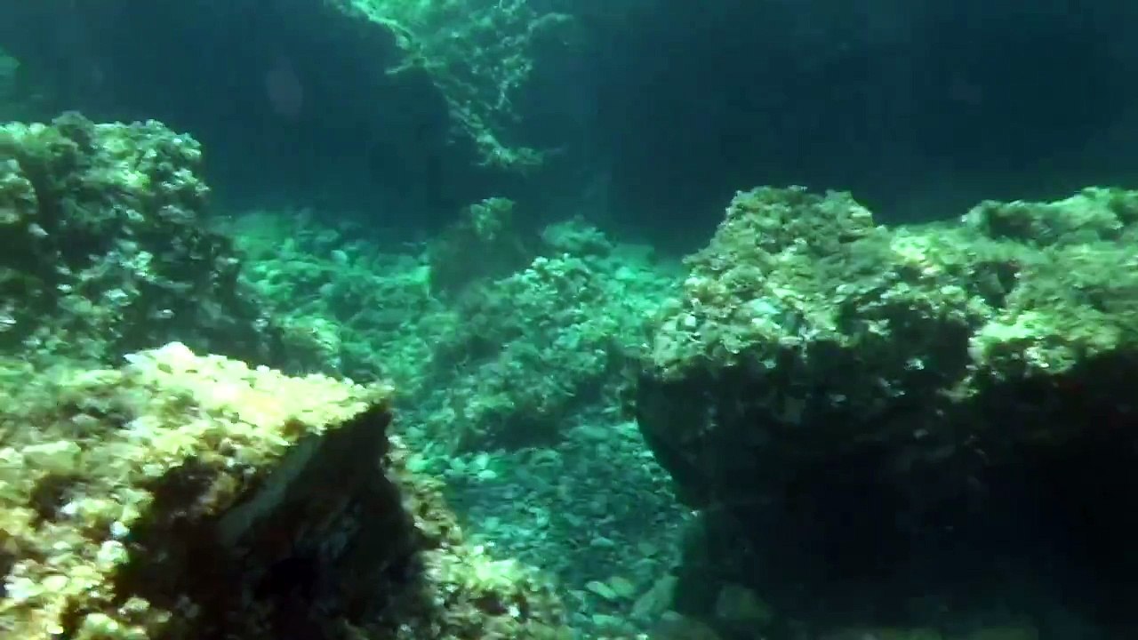 Randos aquatique golfe de Porto