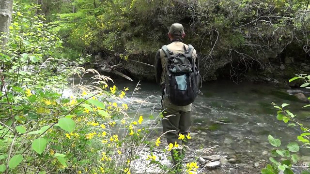 Les truites du Beaumont au toc