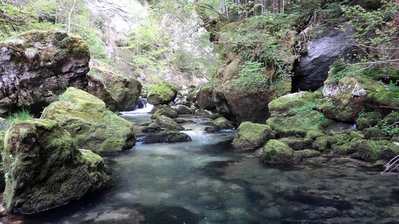 Peche de la truite au toc dans la bourne