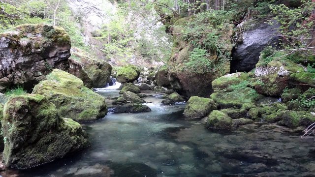 Peche de la truite au toc dans la bourne