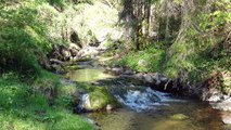 Peche de la truite au toc dans la Loire