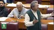 PTI - MNA - Shafqat Mahmood - Responds to PM - Speech In - National Assembly - Naya Pakistan HD TV - YouTube
