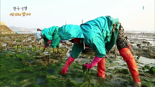 한국기행 - Korea travel_겨울, 남도를 '맛'나다 1부 푸른 바다의 전설_#001