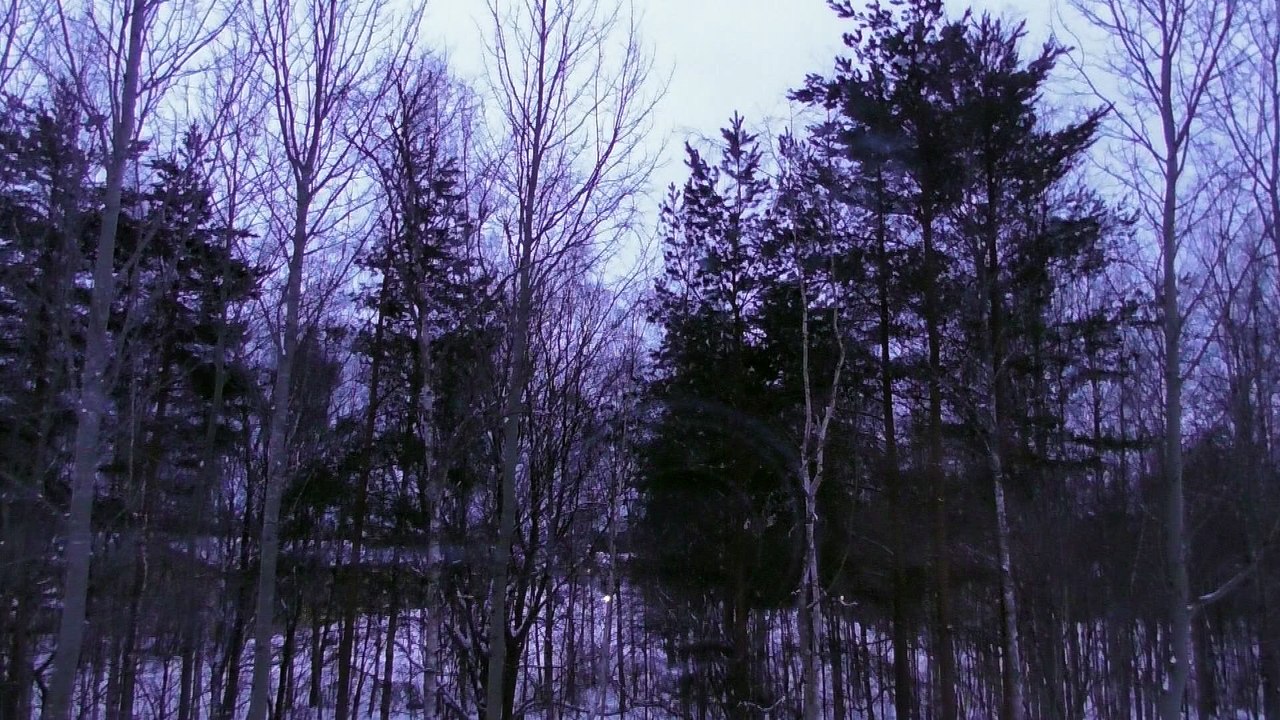Feb 26  2018 DL1