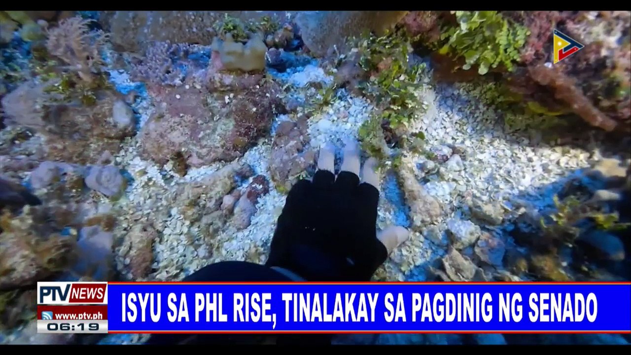 Isyu sa PHL Rise, tinalakay sa pagdinig ng Senado