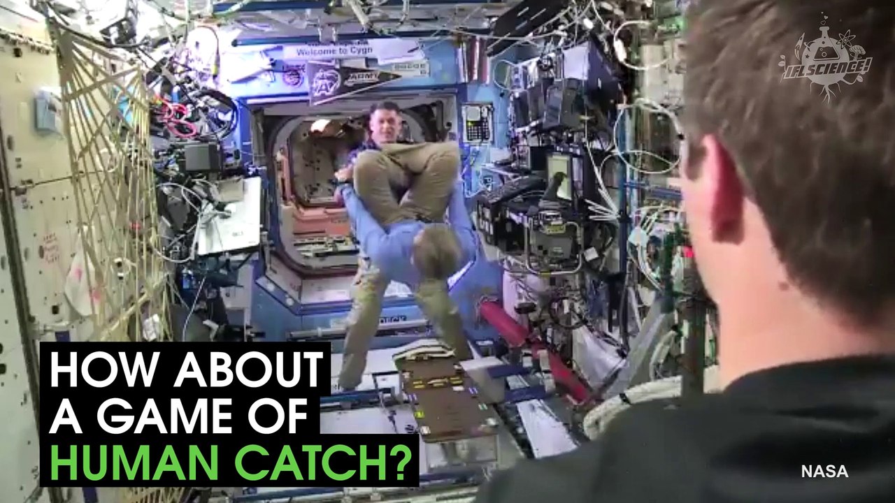 ISS Scientists Can Have Fun Too!