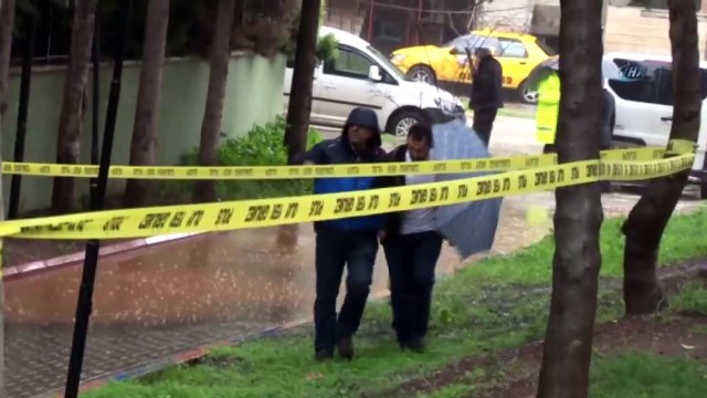 Veteriner Hekimin Gömdüğü Kedi, Polisi Alarma Geçirdi