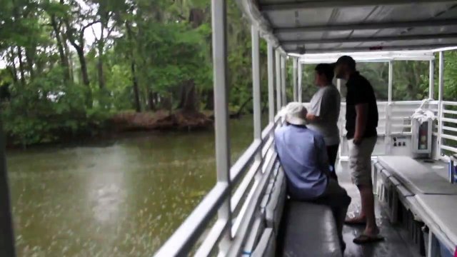 Quand la foudre frappe très fort et très près